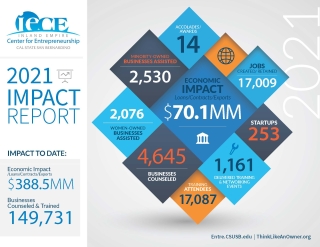 IECE Impact Report Graphic