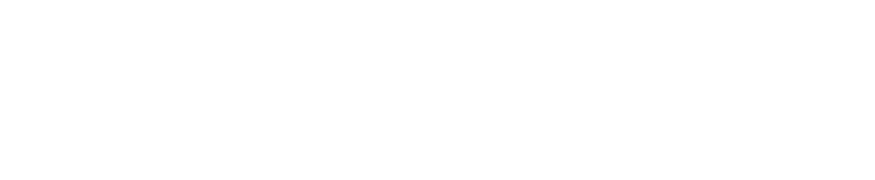 Randall W. Lewis Center for Entrepreneurship logo